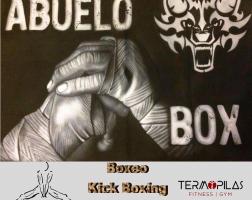 Boxeo Termopilas Fitness Gym